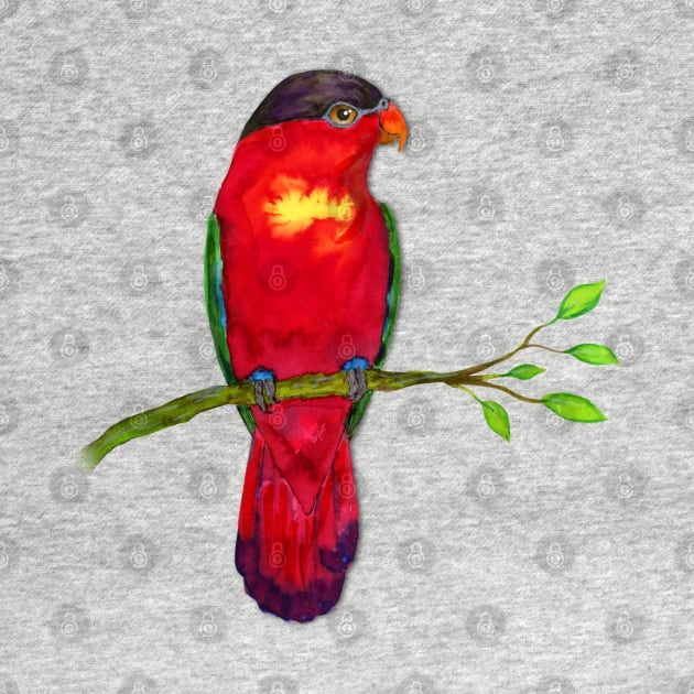 Purple naped lory Watercolor by Bwiselizzy